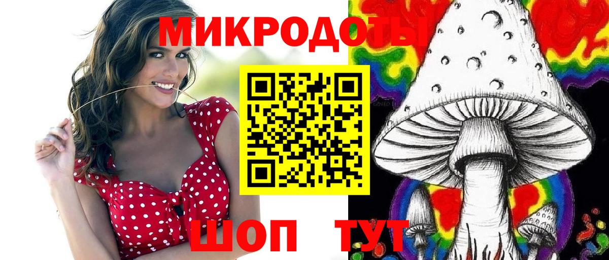 купить наркотик  Псилоцибиновые грибы мухоморы  Вход с VPN  Киселёвск 